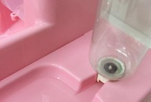 龙鱼吐胃袋后的喂食时间表（合理安排龙鱼喂食时间，保持其健康成长）