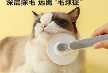 小猫后腿毛发黄掉落问题解决方法（宠物爱护从细节开始，轻松解决小猫后腿毛掉落问题）