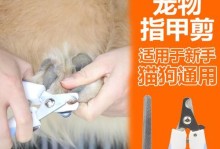 猫咪指甲剪影响跳高吗？——揭开猫咪指甲剪的真相（猫咪跳高需要健康的爪子，正确的指甲剪法很重要）