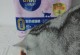 呕吐黄水的原因及应对方法（解析呕吐黄水的病因，提供相应的治疗建议）