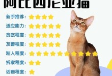 如何饲养健康的阿比西尼亚猫（全方位了解阿比西尼亚猫饲养技巧，让它健康成长）