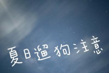 遛狗方式的伤害