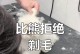 比熊剪毛频率有多久合适？（理解比熊的毛发生长周期以及最佳剪毛时间）