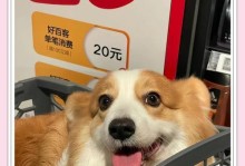 柯基的缺点与养育考量（为你的生活带来挑战的可爱缺陷）