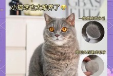 猫掉毛需要多久？（探究猫咪掉毛的周期和原因）