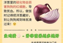 宠物狗的饮食禁忌及可食用食物指南（了解狗狗的饮食禁忌，保证它的健康和幸福）