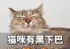 揭秘猫咪黑下巴之谜（六种原因及解决方法，告别黑下巴烦恼）