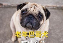 八哥如何变肥？（探索八哥增肥的食谱及方法）