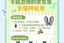 猫咪内外驱虫间隔多久才合适？（探究最佳驱虫间隔时间，保护猫咪健康）