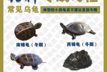 鉴定龟的年龄的4个方法（掌握这些技巧，准确判断你的龟的年龄！）