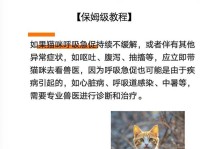 如何应对猫因应激反应而发烧？（了解猫的应激反应及其对发烧的影响，合理护理宠物猫的身体健康）