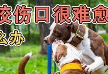 小孩被宠物狗咬伤口怎么处理？（掌握正确方法，避免感染风险）