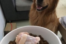 金毛犬可以吃米饭吗？（了解金毛犬的饮食习惯，让它健康成长）