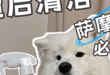 如何正确给萨摩耶美容和清洁？（宠物爱好者必知的小技巧）