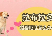 探究一岁拉布拉多为什么吐（揭示拉布拉多呕吐的原因及解决方法）