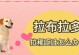 探究一岁拉布拉多为什么吐（揭示拉布拉多呕吐的原因及解决方法）