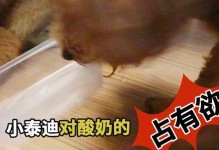 泰迪喝什么酸奶最好？（探究适合泰迪犬的酸奶类型及其好处）