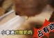泰迪喝什么酸奶最好？（探究适合泰迪犬的酸奶类型及其好处）