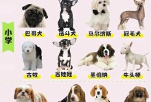 猪与狗（探索猪与狗的智力差异并解读）