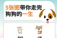 刚出生的小狗的成长奇遇记（探索小狗成长的奇妙旅程，）
