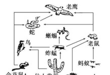 田鼷鼠的饲养方法（从饲料到栖息地，一步步教你如何养育这种可爱的小动物）