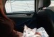 小猫失去猫妈妈后的求生之路（如何帮助小猫独立生活？）