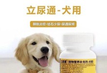 宠物健康需重视——了解狗尿路感染（宠物健康需重视——了解狗尿路感染）