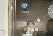 猫得肝炎的原因及预防方法（探究猫得肝炎的主要原因和有效的预防措施）