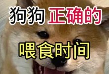 如何正确喂养狗狗？（合理安排每天的喂食次数，）