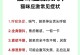 猫为什么一直在抖？（揭开猫咪抖动的奥秘，你知道吗？）