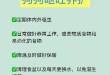狗的饮食健康知识（从狗喝什么吐什么到如何保持健康）