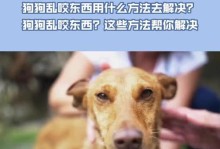 如何训练狗狗不乱咬东西（建立正确咬嚼习惯，让你的狗狗变乖巧）