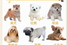 探索狗狗交配的四种方式（了解狗狗交配的不同方式及其利弊）