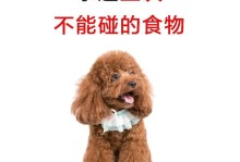 以小泰迪不吃狗粮的好处（为什么小泰迪不吃狗粮更健康）