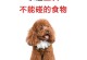 以小泰迪不吃狗粮的好处（为什么小泰迪不吃狗粮更健康）