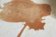 狗狗细小病症状一览（保护爱宠免受细小侵害）