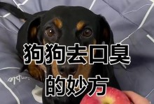 如何帮助狗狗解决口臭问题（养护小技巧，让你的宠物口气清新如初）