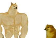 以肌肉犬的常见症状和治疗方法（揭示以肌肉犬常见症状背后的问题及其解决方案）
