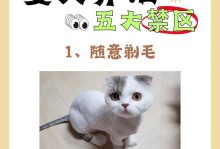 猫咪舔毛秃了该怎么办？（护理、调理、与猫咪共同解决）