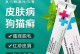 救治受伤狗的有效药物（关于狗受伤后适用的药物种类及使用方法）