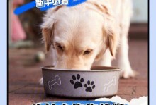 狗狗何时可以转换为成犬粮？（适当时机与关键因素解析）