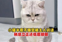 探讨猫晚上不叫的时间（以猫多久才能晚上不叫为主题的研究）