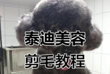 泰迪狗毛长出周期解析（探索泰迪狗毛生长周期，了解适当的护理方法）