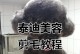 泰迪狗毛长出周期解析（探索泰迪狗毛生长周期，了解适当的护理方法）