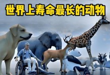 寿命长的动物（探索地球上寿命最长的动物，感叹生命的奇迹）