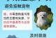 狗感染弓形虫的原因及预防方法（了解弓形虫传播途径和保护您的爱犬）