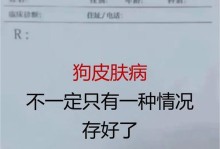 小狗常见疾病及其症状详解（了解小狗常见疾病，提早发现关键症状）