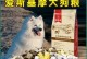如何饲养美国爱斯基摩犬（掌握这些饲养技巧，让你的爱斯基摩犬健康快乐）