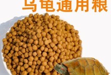 巴西龟的饮食和饲养方法（了解巴西龟的食物需求和养殖技巧，让它健康成长）