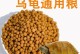 巴西龟的饮食和饲养方法（了解巴西龟的食物需求和养殖技巧，让它健康成长）